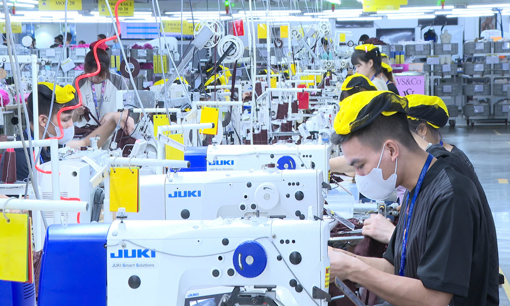 Dây chuyền sản xuất tại Công ty TNHH Crystal Martin Việt Nam.