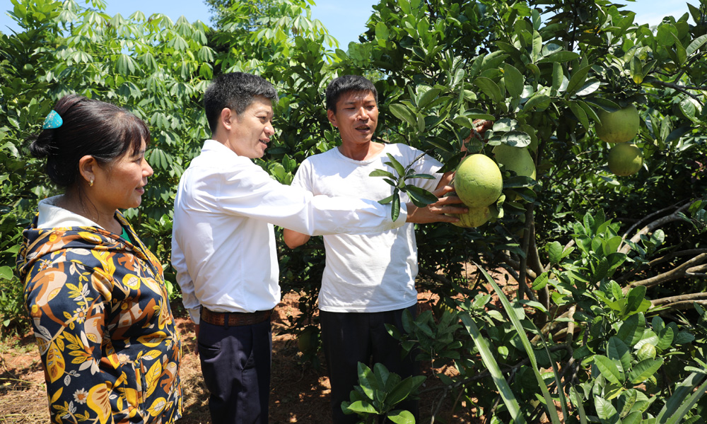 Cán bộ xã Tân Thanh (Lạng Giang) chia sẻ kinh nghiệm sản xuất, trồng trọt với anh Hà Văn Diện là hộ mới thoát nghèo