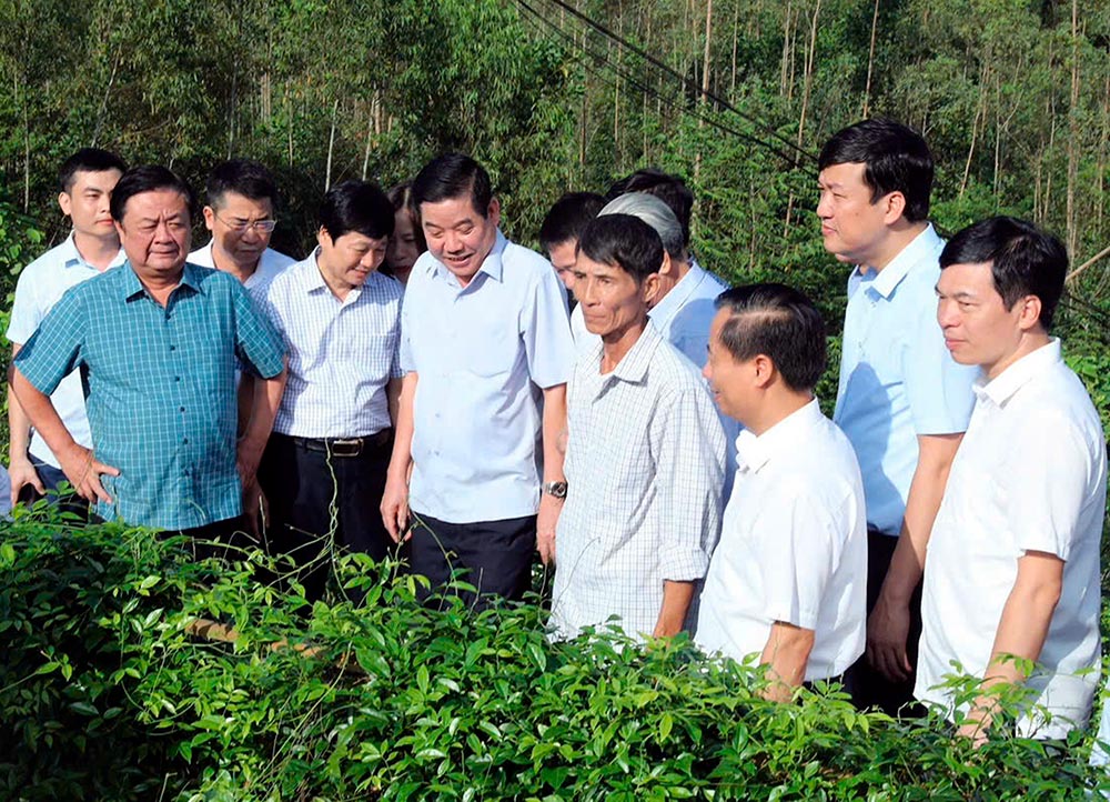 Bộ trưởng Bộ Nông nghiệp và PTNT Lê Minh Hoan; Bí thư Tỉnh ủy Nguyễn Văn Gấu cùng đoàn công tác thăm vùng sâm Nam núi Dành (Tân Yên).