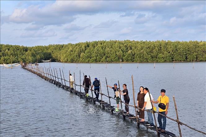 Khách du lịch tham quan nơi bãi bồi Mũi Cà Mau.