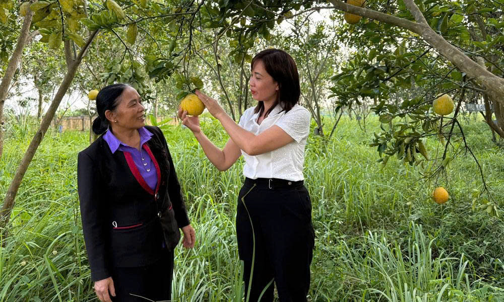 Cán bộ xã Ngọc Thiện hướng dẫn người dân địa phương tích cực chuyển đổi cơ cấu cây trồng.