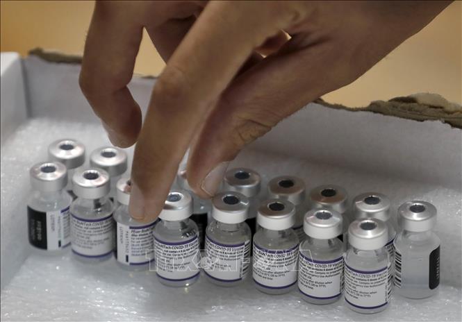 Vaccine ngừa COVID-19 của hãng dược phẩm Pfizer-BionTech. Ảnh minh họa: AFP/TTXVN