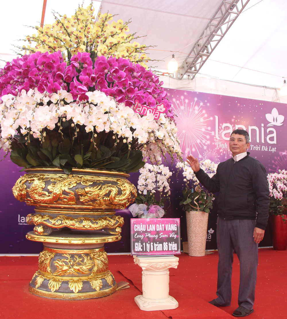 Khách hàng tham quan chậu lan được dát vàng.