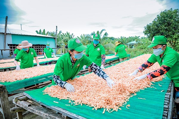 Cơ sở sản xuất thực phẩm chay Bảy Lên ở tỉnh Đồng Tháp vay vốn chính sách phát triển sản xuất kinh doanh, tạo việc làm ổn định, bền vững cho lao động nữ. (Ảnh: Vietnam+)