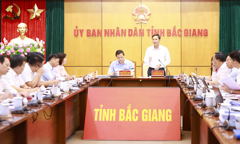 Đồng chí Nguyễn Việt Oanh phát biểu tại buổi làm việc.