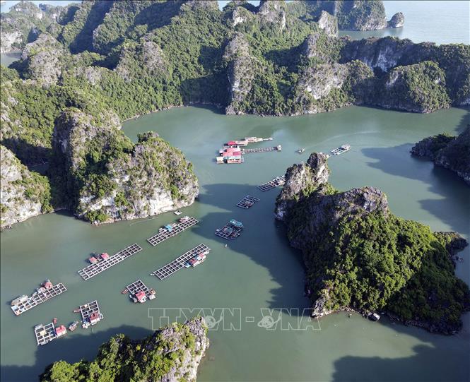 Làng chài Vung Viêng được bao bọc bởi các dãy núi đá vôi trên Vịnh Hạ Long.