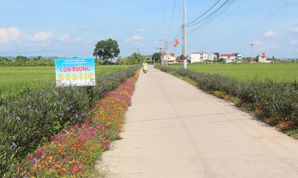 Một góc xã Xương Lâm (Lạng Giang).