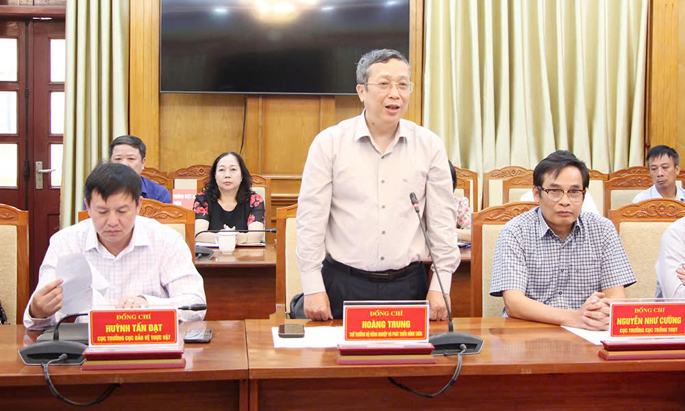 Thứ trưởng Hoàng Trung phát biểu tại buổi làm việc.