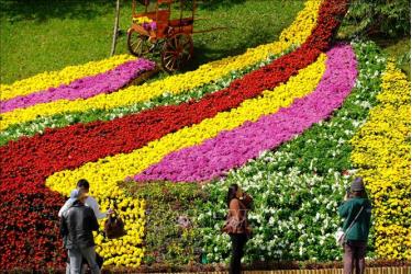 Tiểu cảnh “thác hoa” Đà Lạt chiêu đãi thị giác của du khách và người dân địa phương trong dịp Festival hoa Đà Lạt 2022. Ảnh tư liệu: Nguyễn Dũng/TTXVN