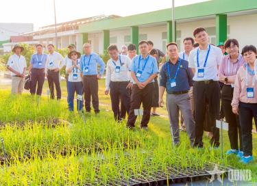 Các đại biểu tham quan thực tế mô hình nông nghiệp tuần hoàn tại Tây Ninh.