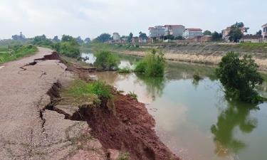 Vị trí sạt lở ăn sâu vào thân đê từ 1-1,5 m.