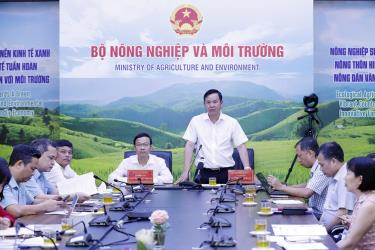 Quang cảnh hội nghị tại điểm cầu TP Hà Nội.