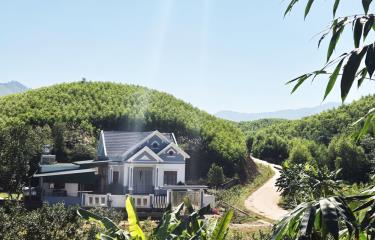 Nhiều hộ vươn lên làm giàu, xây nhà cửa khang trang nhờ trồng rừng kinh tế.