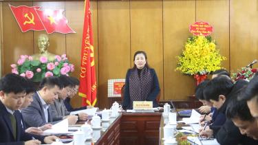 Đồng chí Lê Thị Thu Hồng kết luận buổi làm việc.