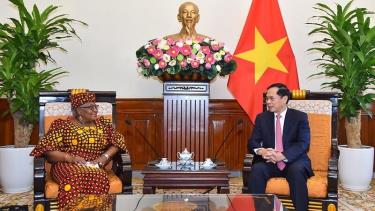 Bộ trưởng Ngoại giao Bùi Thanh Sơn tiếp Tổng Giám đốc WTO Ngozi Okonjo-Iweala.