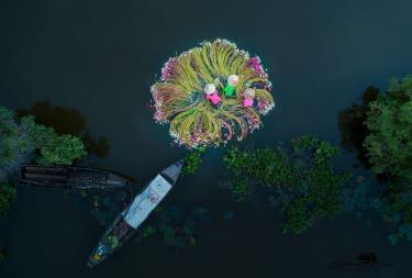 Khung cảnh bình yên trên một con sông cạnh chợ Tân An (Long An), nơi người lao động đang rửa hoa súng để đem bán.