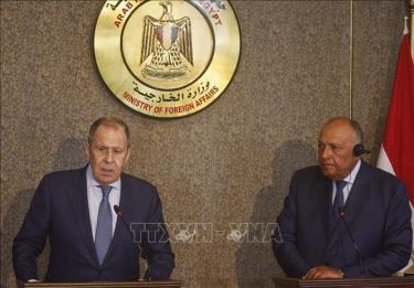 Ngoại trưởng Ai Cập Sameh Shoukry (phải) và Ngoại trưởng Nga Sergey Lavrov (trái) trong cuộc gặp tại Cairo, Ai Cập, ngày 24/7/2022. Ảnh: AFP/TTXVN