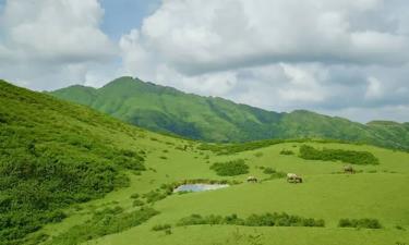 Thảo nguyên xanh mát thuộc địa phận thôn Đảng (xã Sa Lý, huyện Lục Ngạn).