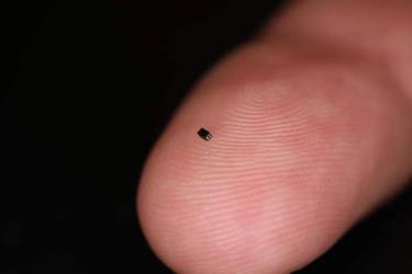 CameraCubeChip có kích thức chỉ bằng hạt muối. Ảnh: O.C