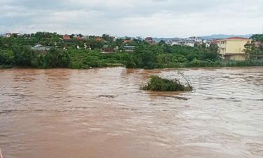 Nước lũ trên sông Lục Nam đang dâng cao.
