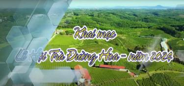 Lùi thời gian tổ chức lễ hội Trà Đường Hoa vì bão số 3. Ảnh: Trung tâm Thông tin Xúc tiến Du lịch tỉnh Quảng Ninh