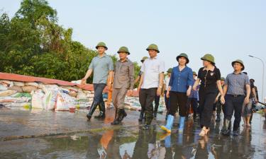 Đồng chí Vương Quốc Tuấn cùng các đồng chí lãnh đạo kiểm tra công tác chống tràn tại tuyến đê bối Đẩu Hàn, phường Kinh Bắc.