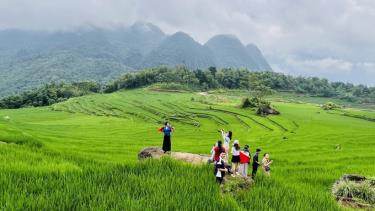 Khu du lịch cộng đồng Pù Luông (Thanh Hóa) thu hút khách du lịch trong nước và quốc tế. Ảnh: Hoa Mai/ TTXVN